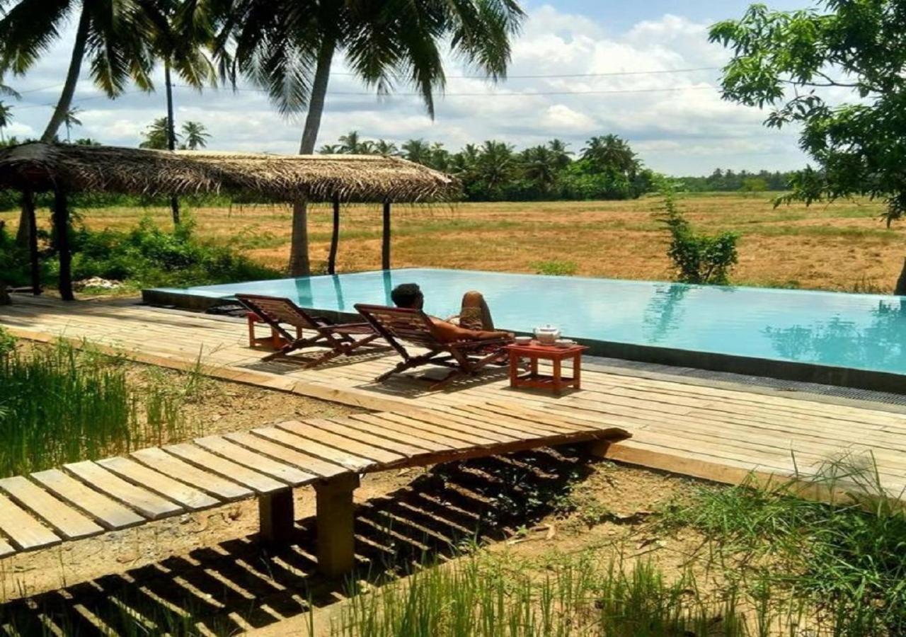Rice Rice Villas Тиссамахарама Экстерьер фото