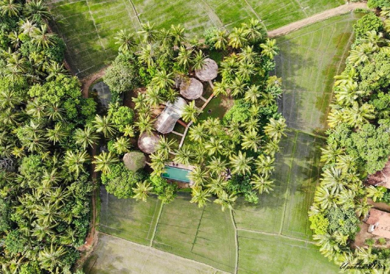 Rice Rice Villas Тиссамахарама Экстерьер фото