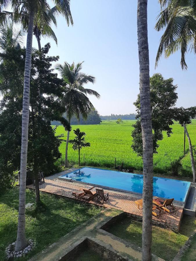Rice Rice Villas Тиссамахарама Экстерьер фото