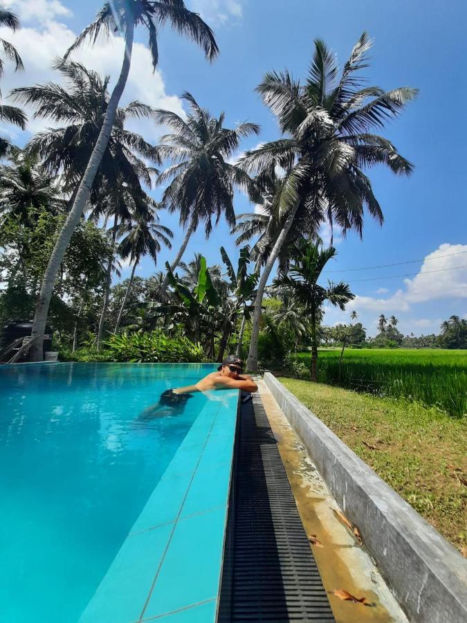 Rice Rice Villas Тиссамахарама Экстерьер фото