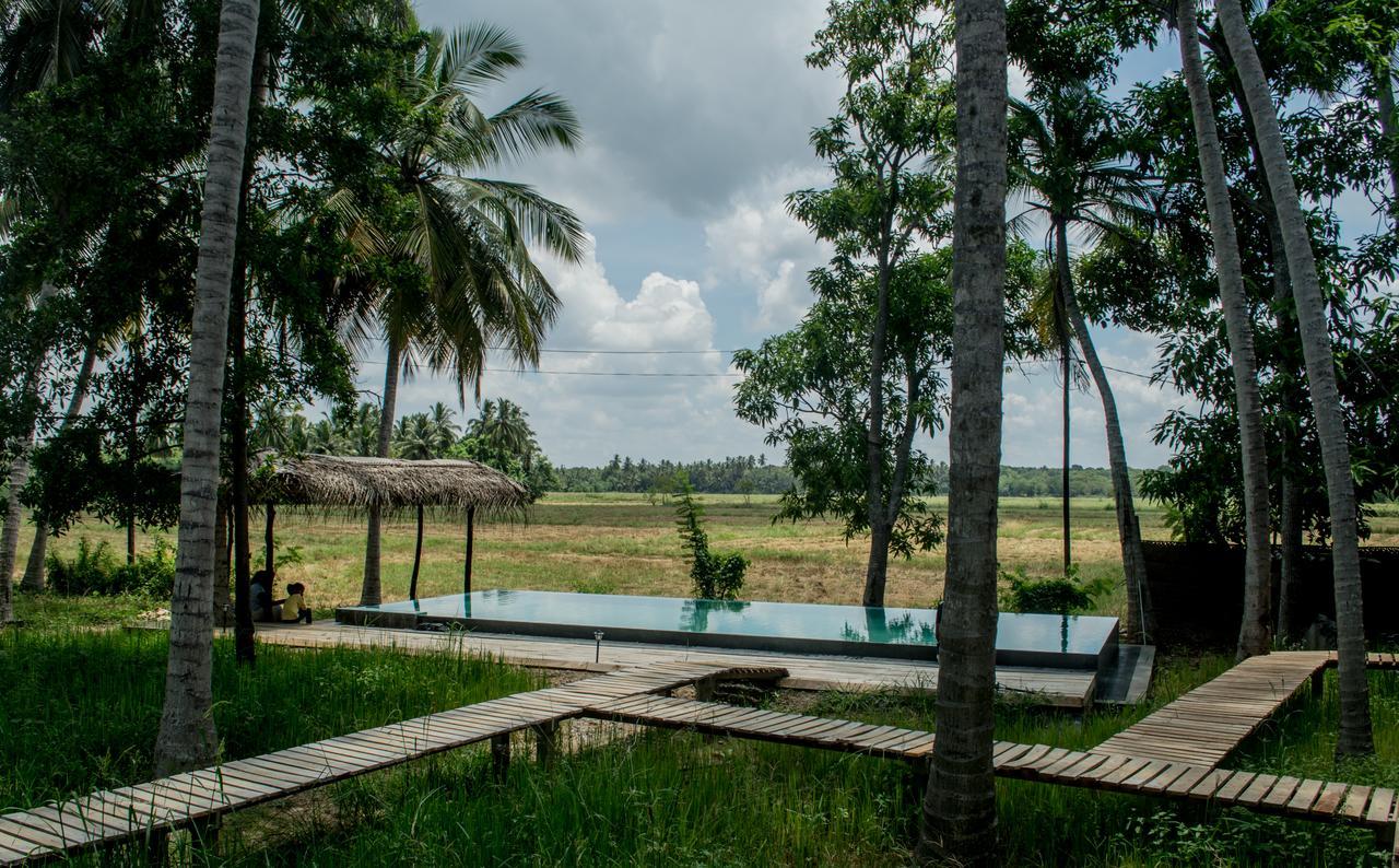 Rice Rice Villas Тиссамахарама Экстерьер фото