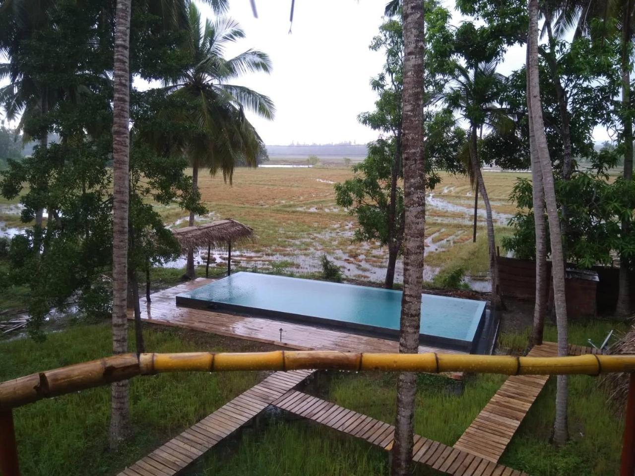 Rice Rice Villas Тиссамахарама Экстерьер фото