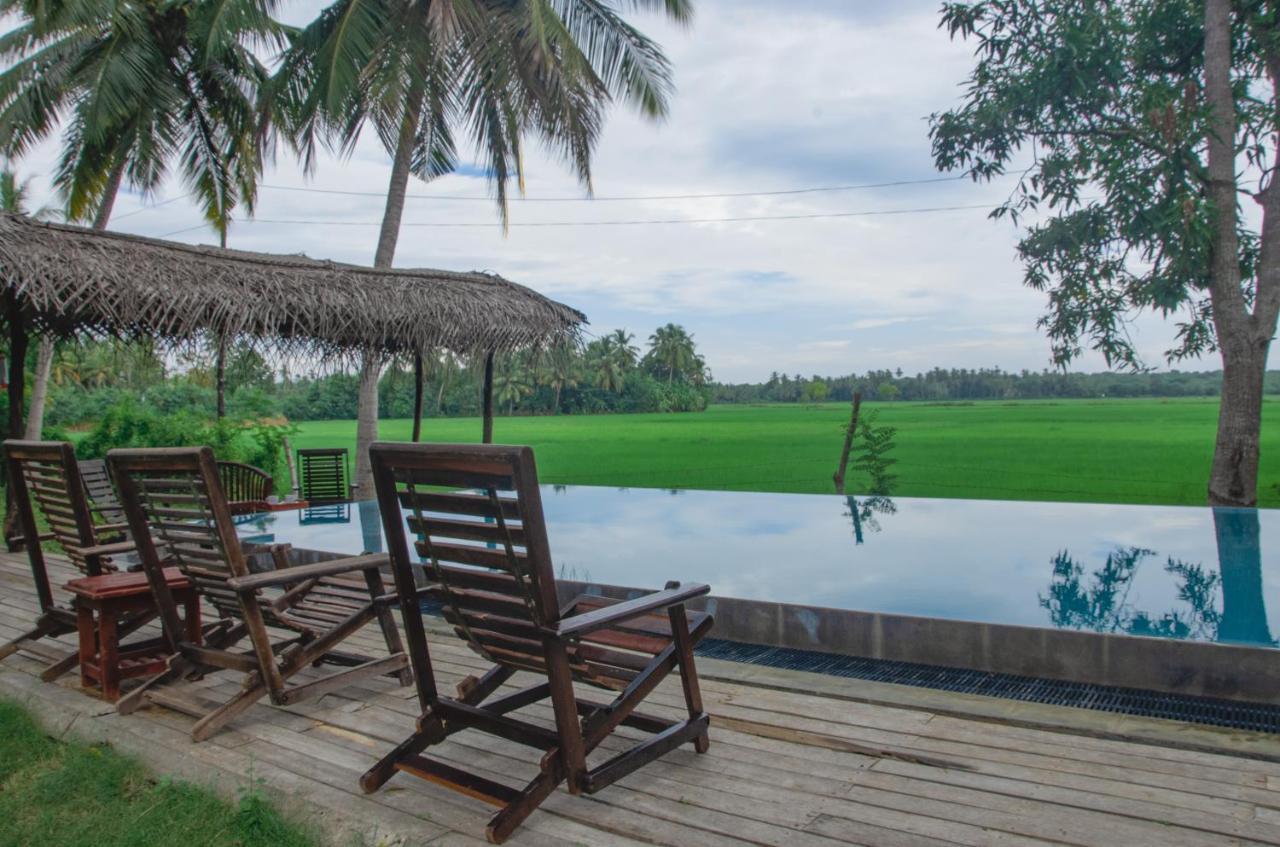 Rice Rice Villas Тиссамахарама Экстерьер фото