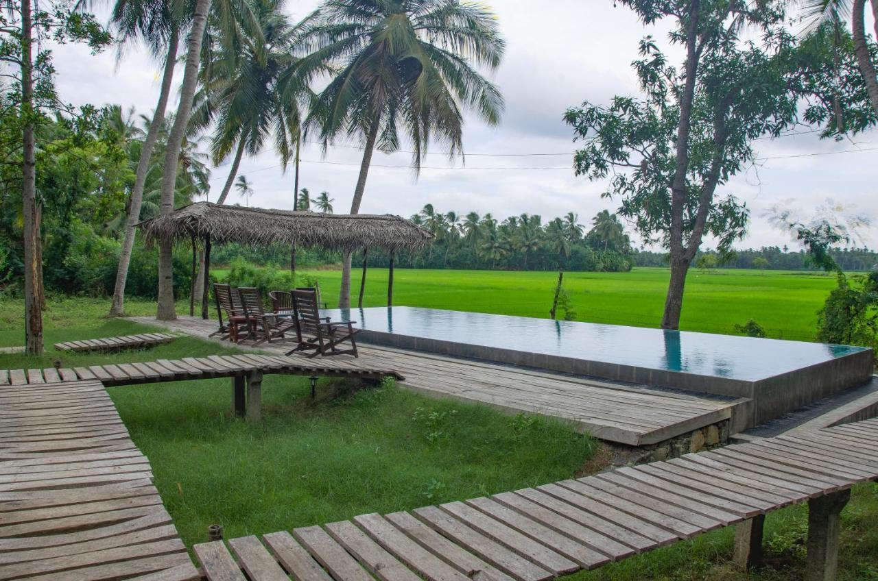 Rice Rice Villas Тиссамахарама Экстерьер фото